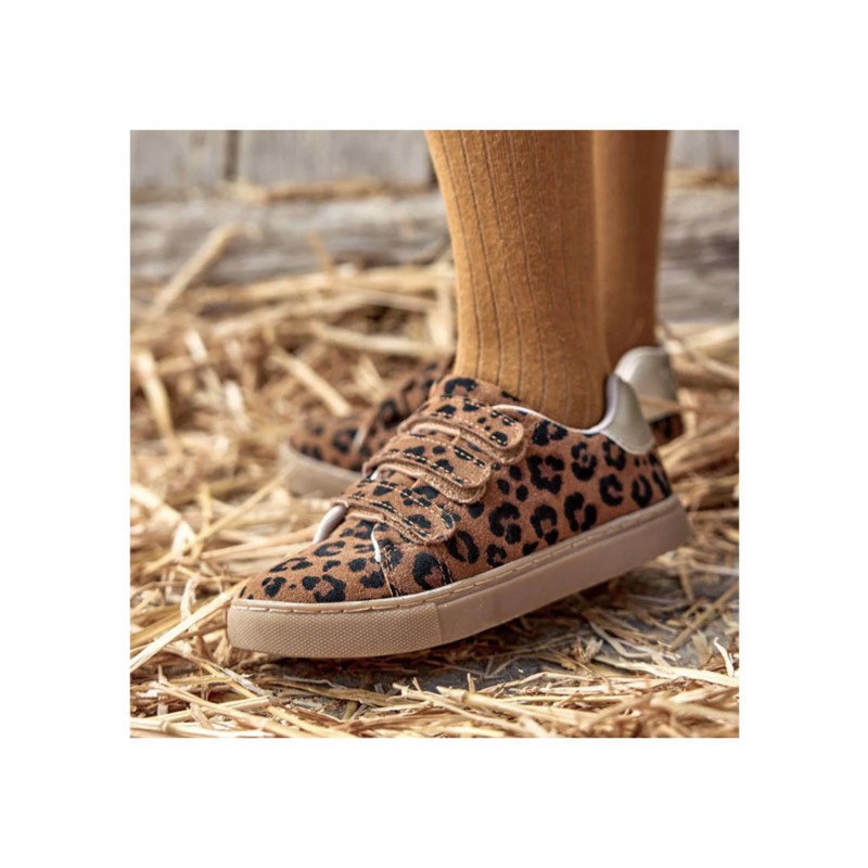 Basket Basil scratch